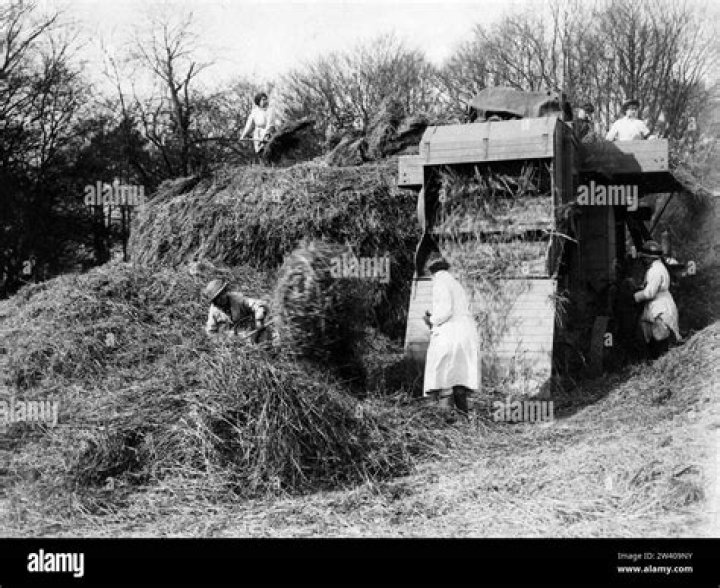 Is there money in making hay?